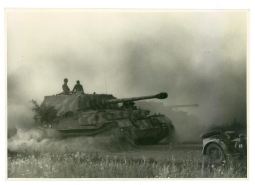 55 Panzerjager Tiger (P)
